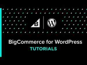 BigCommerce for WordPress Tutorial: How To Hide Products
