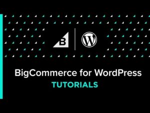 BigCommerce for WordPress Tutorial: How To Use Ngrok With LocalWP