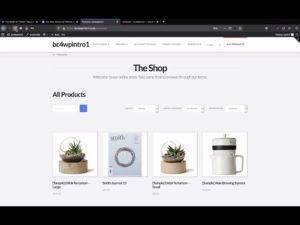 BigCommerce for WordPress (BC4WP) Themeco Pro Theme Review